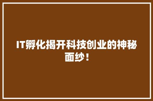IT孵化揭开科技创业的神秘面纱！