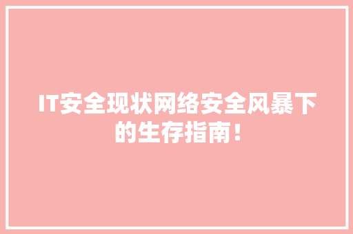 IT安全现状网络安全风暴下的生存指南！ 项目报告