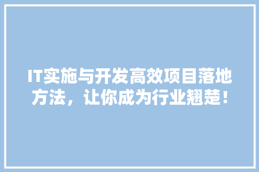 IT实施与开发高效项目落地方法，让你成为行业翘楚！ 市场营销范文