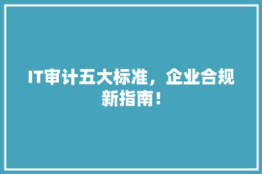 IT审计五大标准，企业合规新指南！
