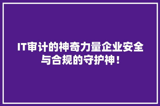 IT审计的神奇力量企业安全与合规的守护神！ 后端技术