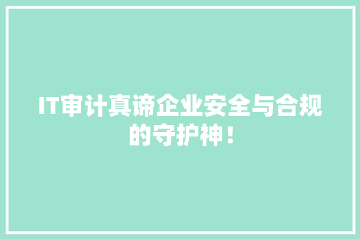 IT审计真谛企业安全与合规的守护神！