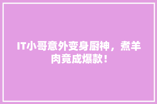 IT小哥意外变身厨神，煮羊肉竟成爆款！ 项目报告