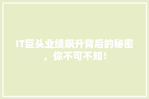 IT巨头业绩飙升背后的秘密，你不可不知！ 项目报告