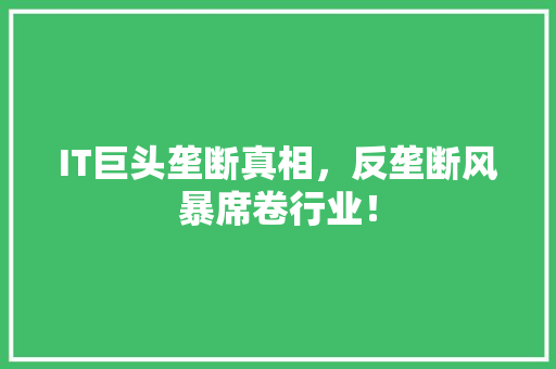 IT巨头垄断真相，反垄断风暴席卷行业！ 响应式设计