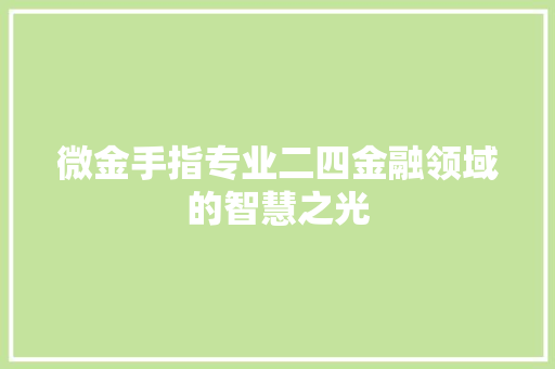 微金手指专业二四金融领域的智慧之光
