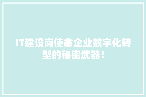 IT建设岗使命企业数字化转型的秘密武器！ 项目报告