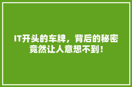 IT开头的车牌，背后的秘密竟然让人意想不到！