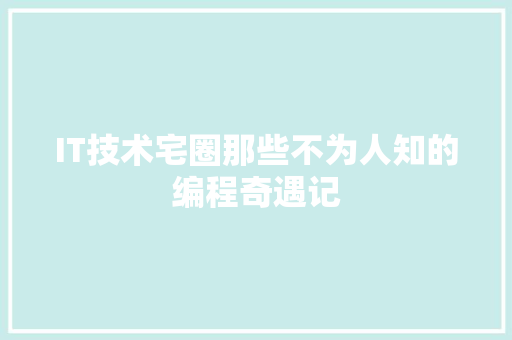 IT技术宅圈那些不为人知的编程奇遇记 网站建设