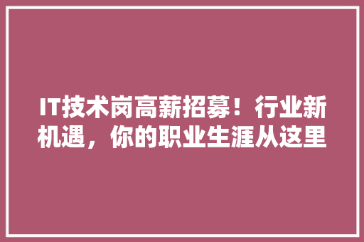 IT技术岗高薪招募！行业新机遇，你的职业生涯从这里启航 响应式设计