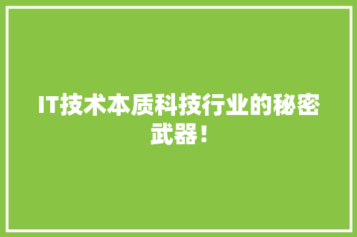 IT技术本质科技行业的秘密武器！ 项目报告