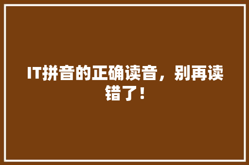 IT拼音的正确读音，别再读错了！ 项目报告