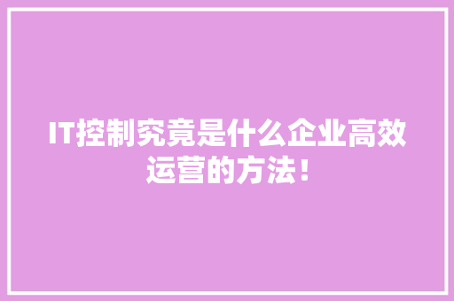 IT控制究竟是什么企业高效运营的方法！