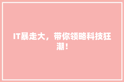 IT暴走大，带你领略科技狂潮！ MySQL