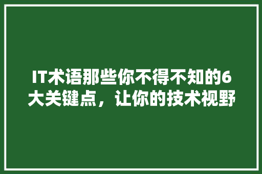 IT术语那些你不得不知的6大关键点，让你的技术视野更开阔！ 市场营销范文