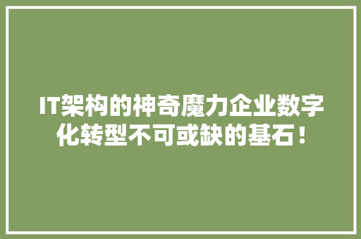 IT架构的神奇魔力企业数字化转型不可或缺的基石！ 市场营销范文