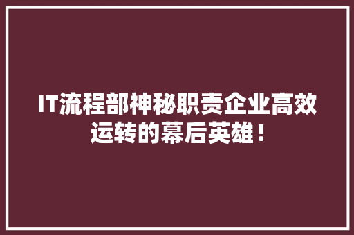 IT流程部神秘职责企业高效运转的幕后英雄！