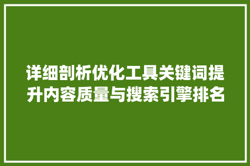 详细剖析优化工具关键词提升内容质量与搜索引擎排名的步骤研究_优化工具关键词