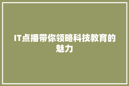 IT点播带你领略科技教育的魅力 项目报告