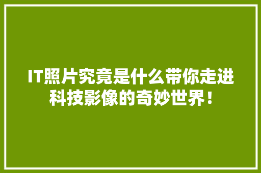 IT照片究竟是什么带你走进科技影像的奇妙世界！ 市场营销范文