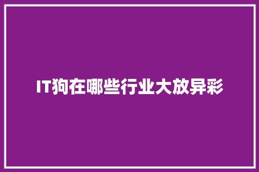 IT狗在哪些行业大放异彩 项目报告