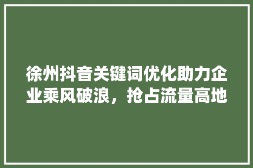 徐州抖音关键词优化助力企业乘风破浪，抢占流量高地_徐州抖音关键词优化公司