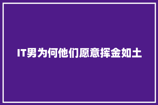 IT男为何他们愿意挥金如土 MySQL
