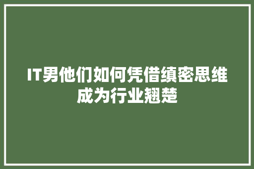 IT男他们如何凭借缜密思维成为行业翘楚 市场营销范文