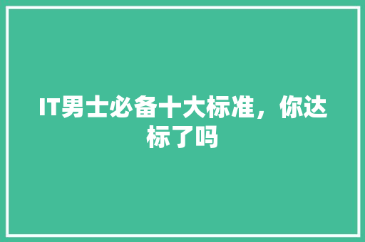 IT男士必备十大标准，你达标了吗 市场营销范文