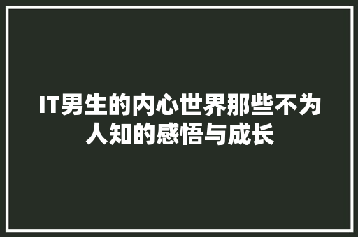 IT男生的内心世界那些不为人知的感悟与成长 网站建设