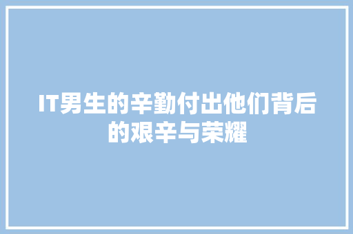 IT男生的辛勤付出他们背后的艰辛与荣耀 后端技术