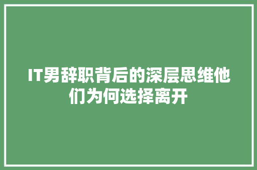 IT男辞职背后的深层思维他们为何选择离开 网站建设