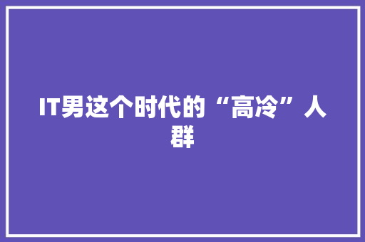 IT男这个时代的“高冷”人群