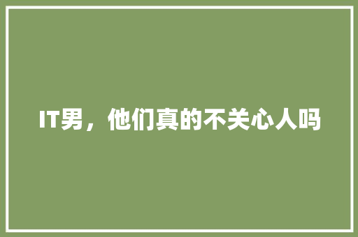 IT男，他们真的不关心人吗 MySQL