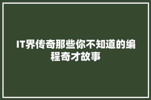 IT界传奇那些你不知道的编程奇才故事 前端技术
