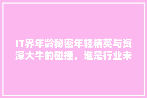 IT界年龄秘密年轻精英与资深大牛的碰撞，谁是行业未来