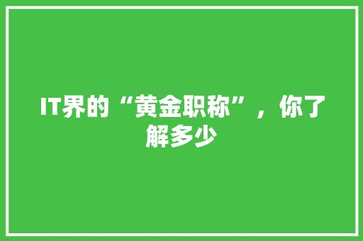 IT界的“黄金职称”，你了解多少 市场营销范文