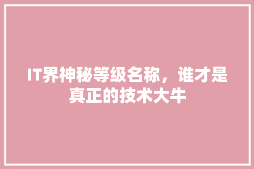 IT界神秘等级名称，谁才是真正的技术大牛