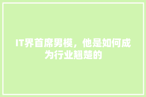 IT界首席男模，他是如何成为行业翘楚的 项目报告