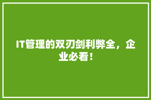 IT管理的双刃剑利弊全，企业必看！