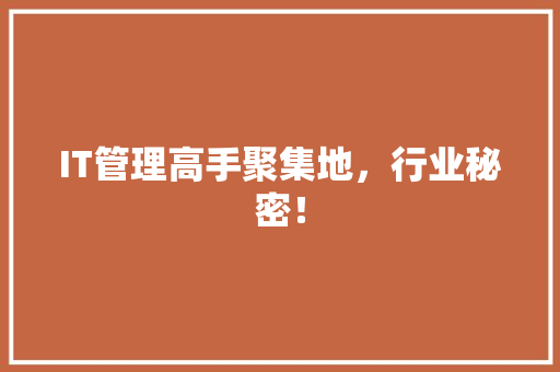 IT管理高手聚集地，行业秘密！ 网站建设