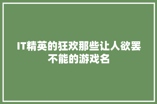 IT精英的狂欢那些让人欲罢不能的游戏名