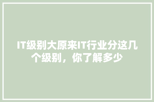 IT级别大原来IT行业分这几个级别，你了解多少 缓存Redis