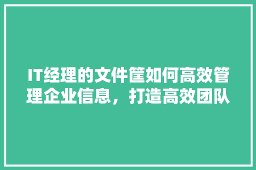 IT经理的文件筐如何高效管理企业信息，打造高效团队 网站建设