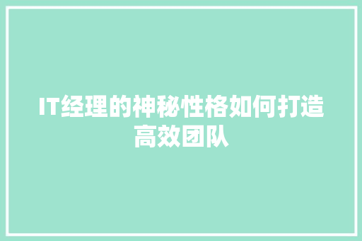 IT经理的神秘性格如何打造高效团队 项目报告