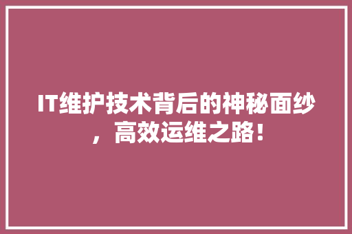 IT维护技术背后的神秘面纱，高效运维之路！ 前端技术