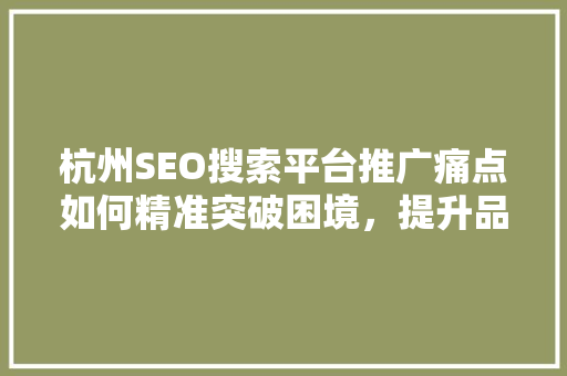 杭州SEO搜索平台推广痛点如何精准突破困境，提升品牌影响力