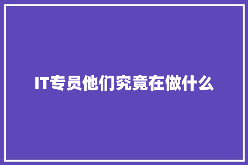 IT专员他们究竟在做什么 网站建设