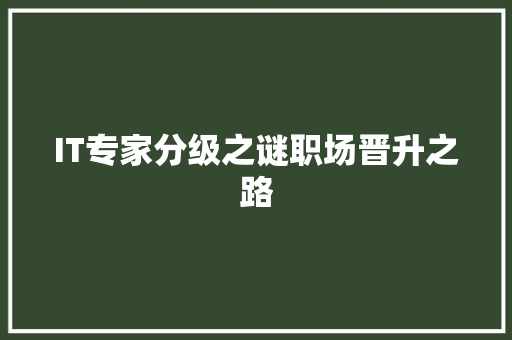 IT专家分级之谜职场晋升之路