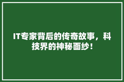 IT专家背后的传奇故事，科技界的神秘面纱！